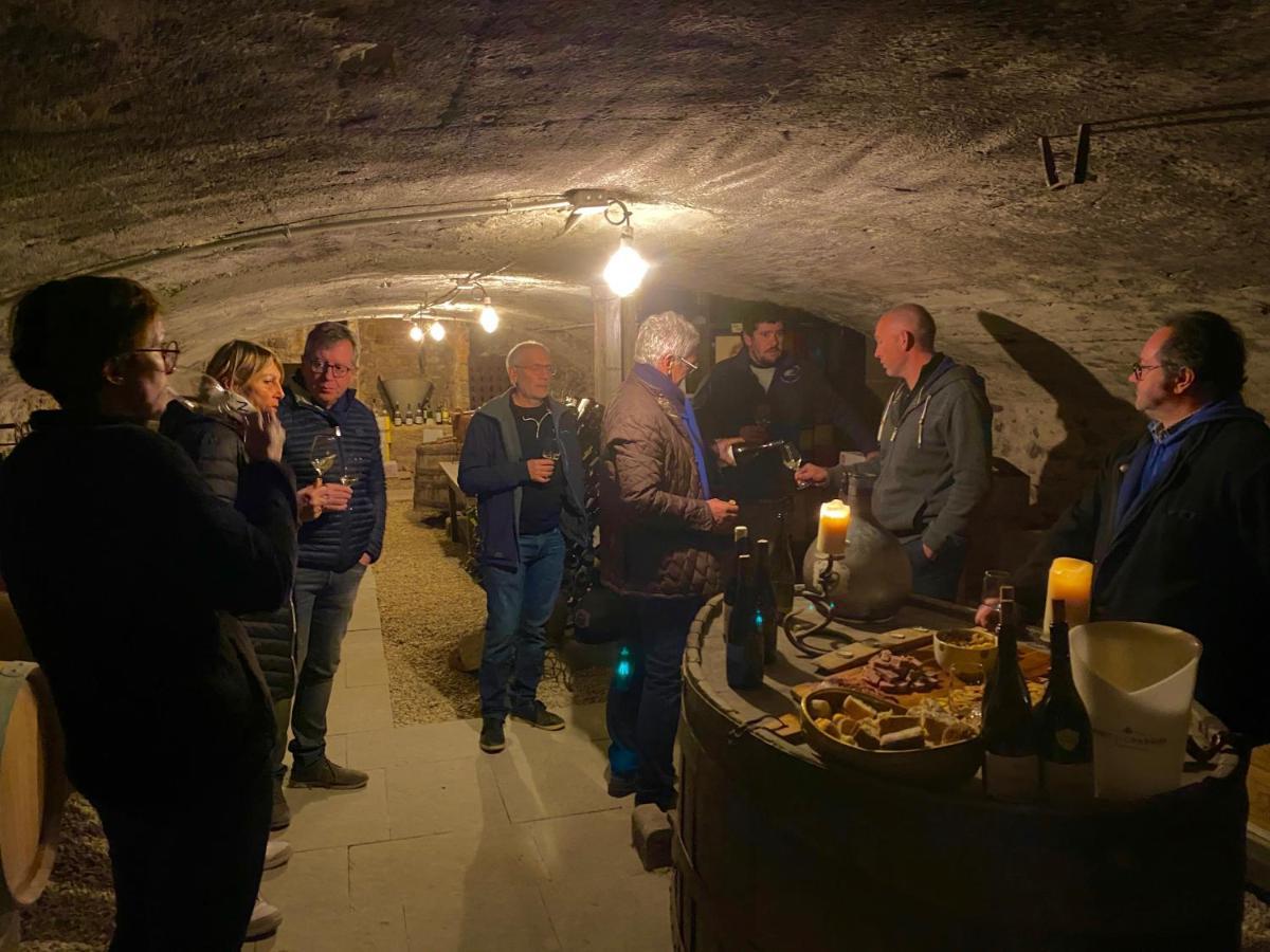 Chateau Des Janroux Juliénas Εξωτερικό φωτογραφία
