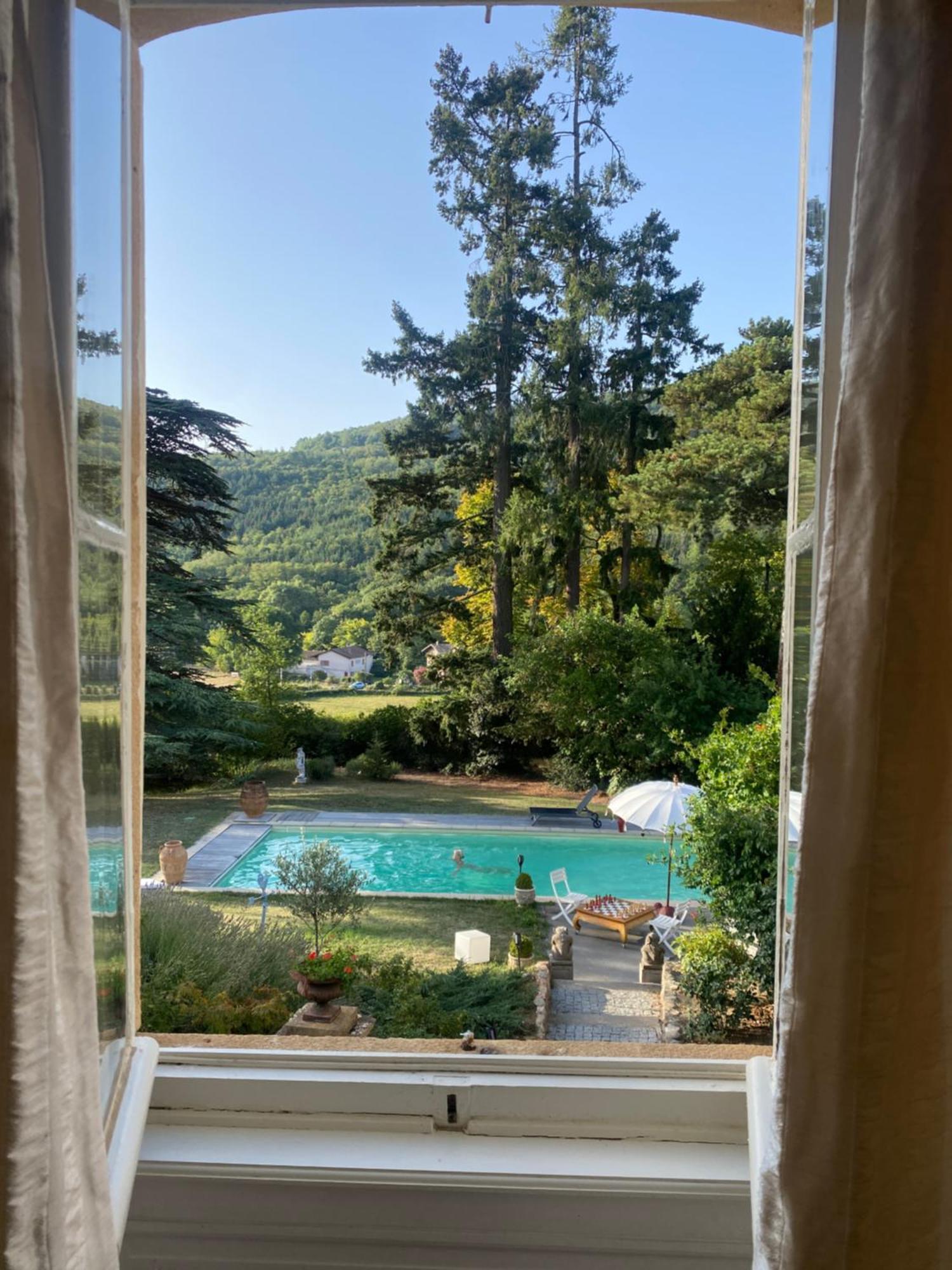 Chateau Des Janroux Juliénas Εξωτερικό φωτογραφία